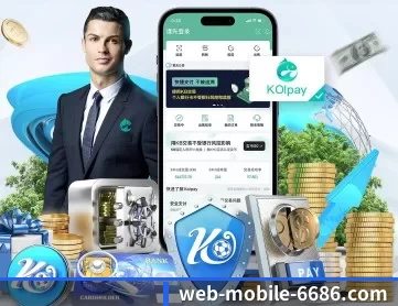 6686体育 APP