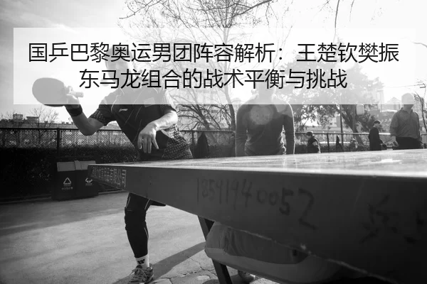 国乒巴黎奥运男团阵容解析：王楚钦樊振东马龙组合的战术平衡与挑战